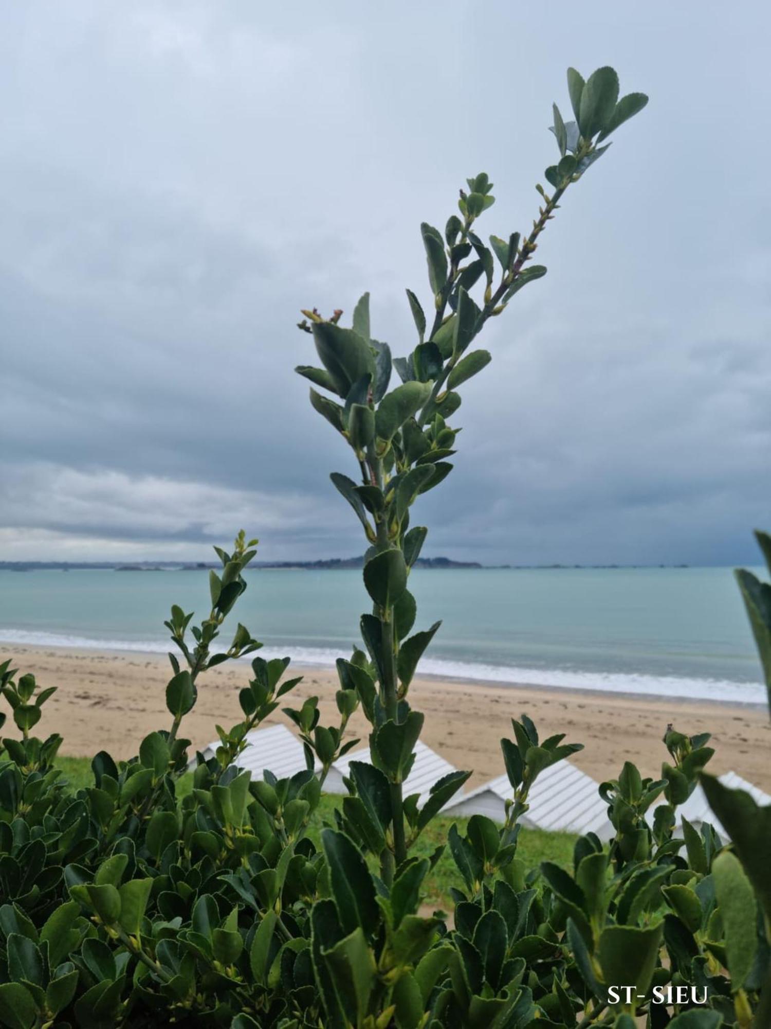Apartment Vent Marin De St-lunaire 50m De La Saint-Lunaire
